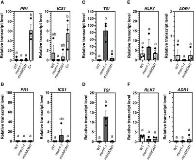 The Arabidopsis chromatin regulator MOM1 is a negative component of the defense priming induced by AZA, BABA and PIP